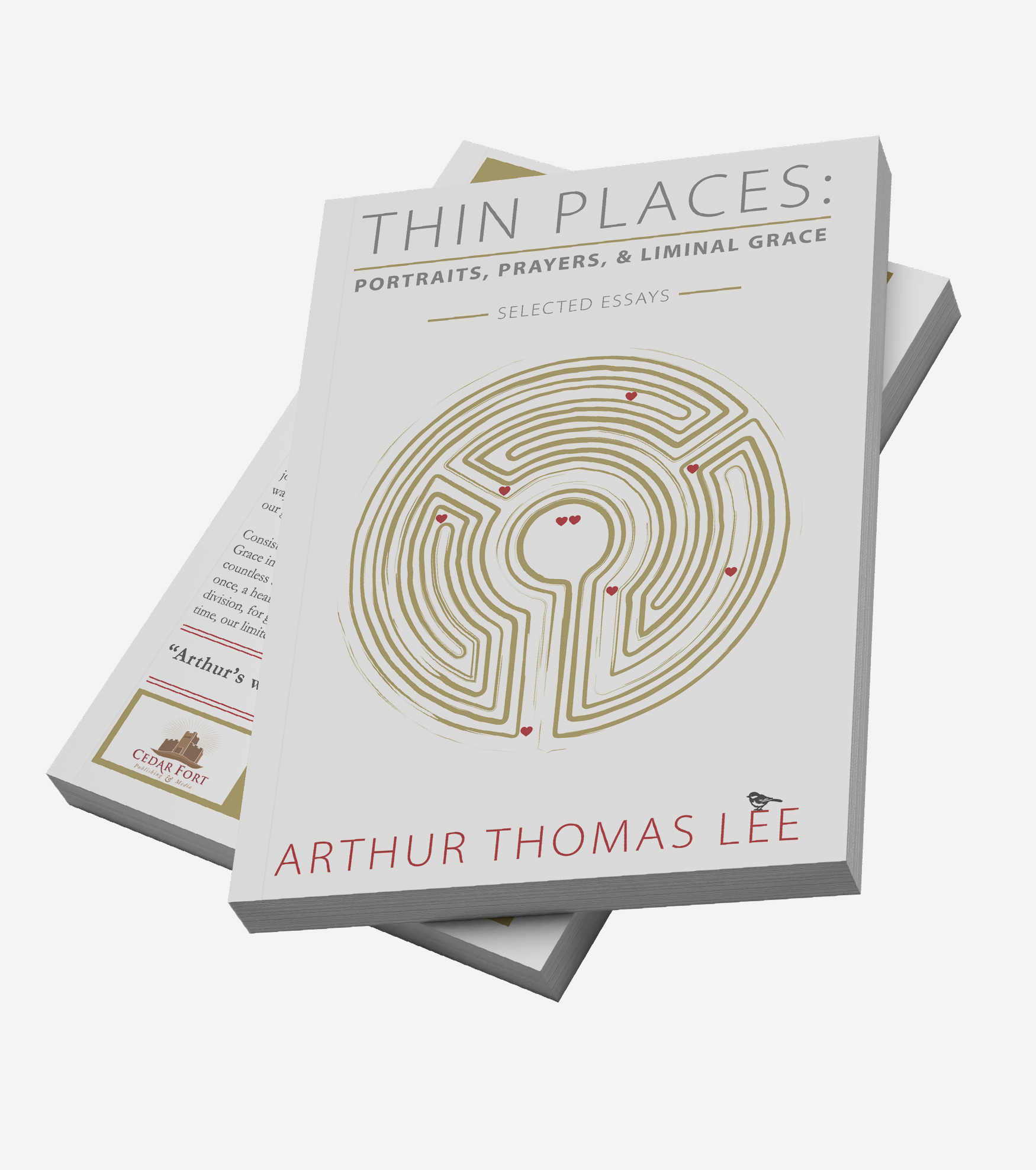paperback THIN PLACES